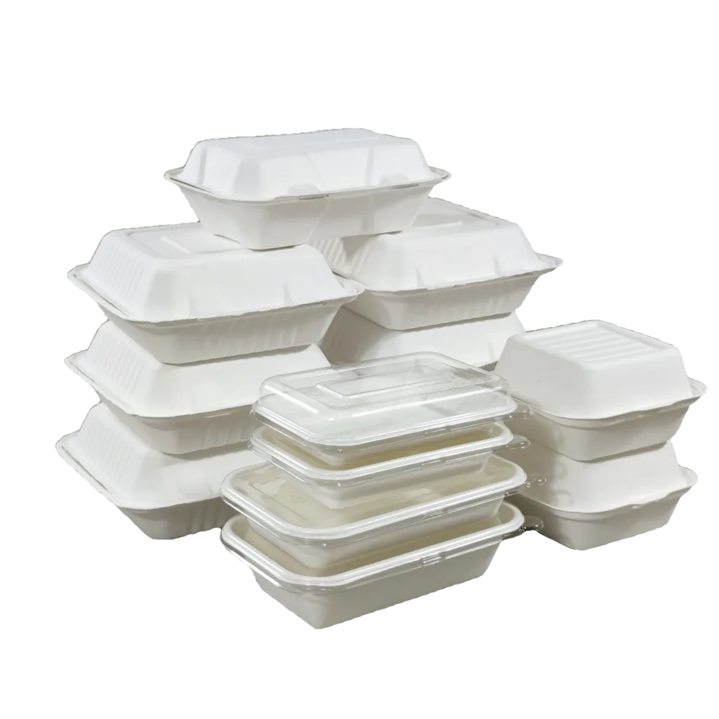 حاوية طعام قصب السكر القصب القصب القصب القصب