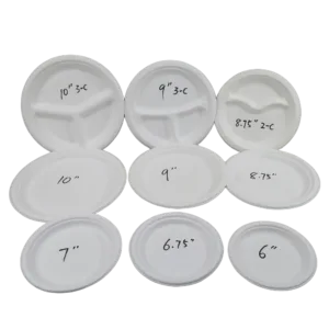 bagasse paper plates
