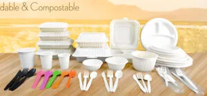 cornstarch tableware