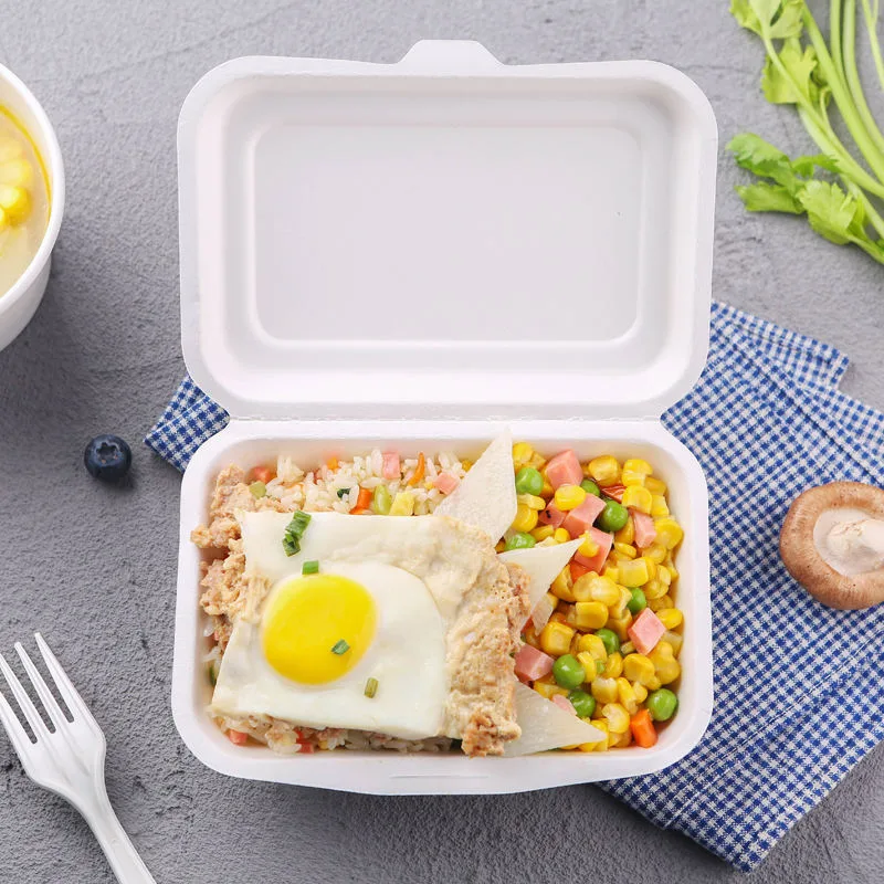 sugarcane bagasse clamshell 1