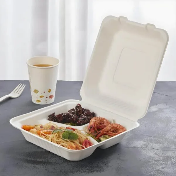 envase alimentario de bagazo de caña de azúcar