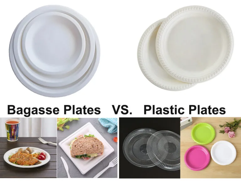 Assiettes en bagasse et assiettes en plastique