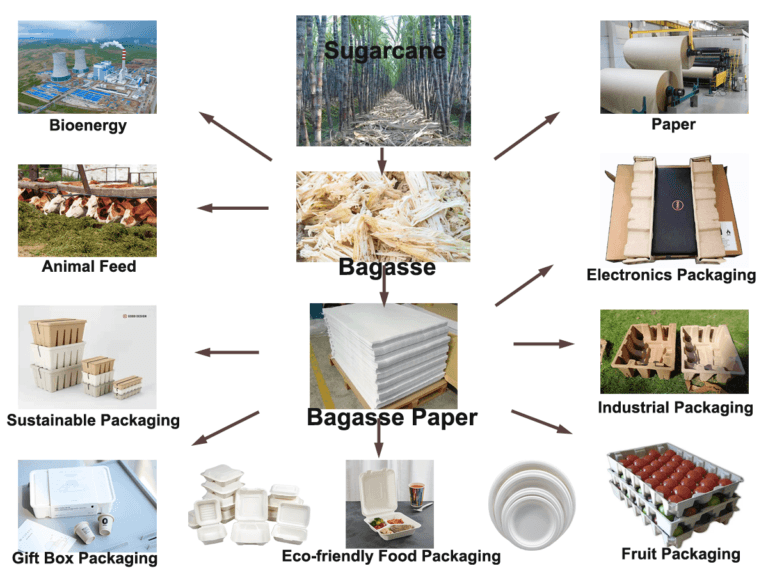 Bagasse in the Sugar Industry