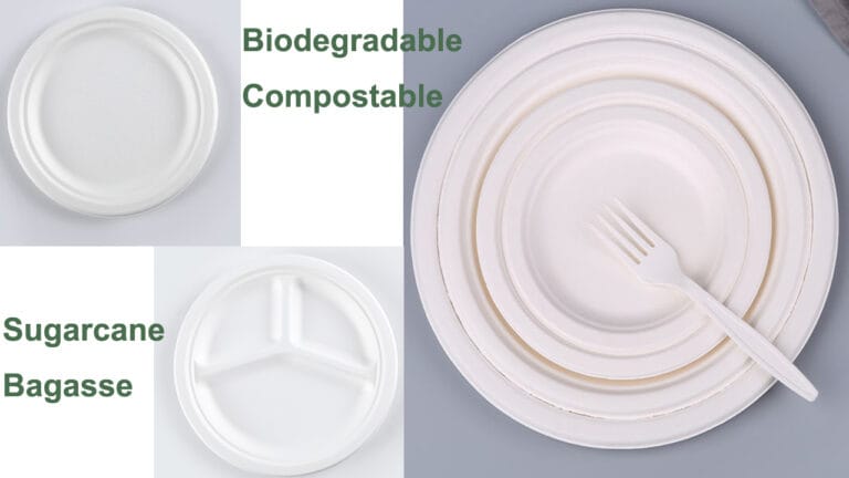 Best Disposable Plates for Hot Food & Warm Dinner