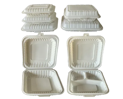 حاويات الطعام التي تستخدم لمرة واحدة فقط