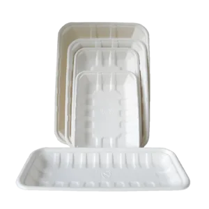 Bagasse Trays