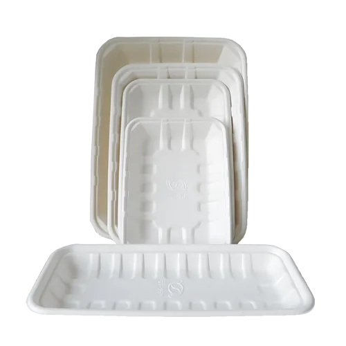Compostable Bagasse Trays – Disposable Eco Friendly Molded Pulp