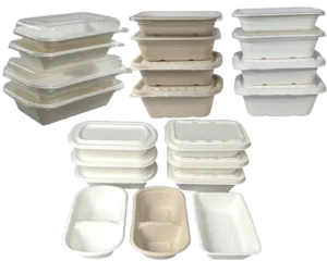 Disposable Bagasse Tray with Lid – Eco Friendly Food Catering