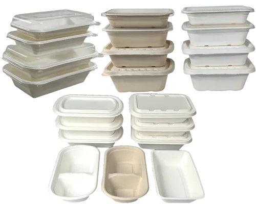 Top 10 Most Popular Style of Biodegradable Disposable Food Containers