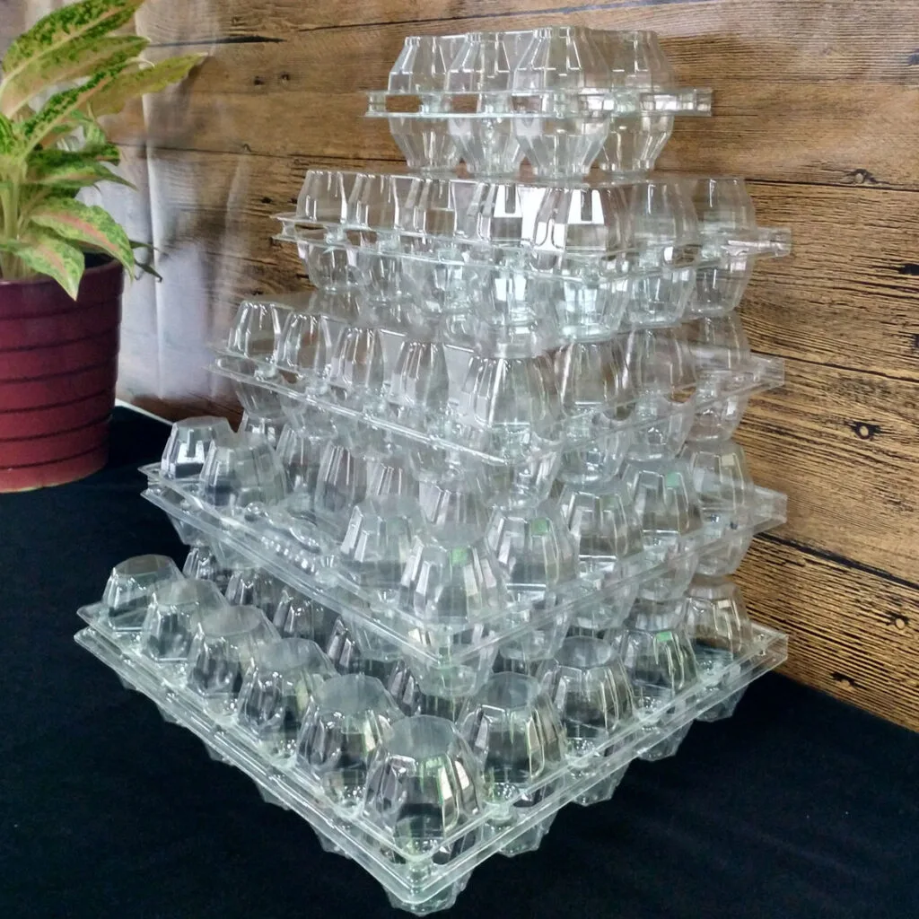 Embalagem de plástico para ovos em forma de concha