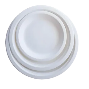 Bagasse Plates