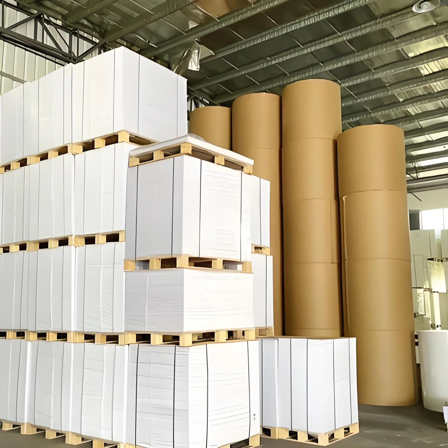 ما هو الورق الخشبي المعتمد من FSC