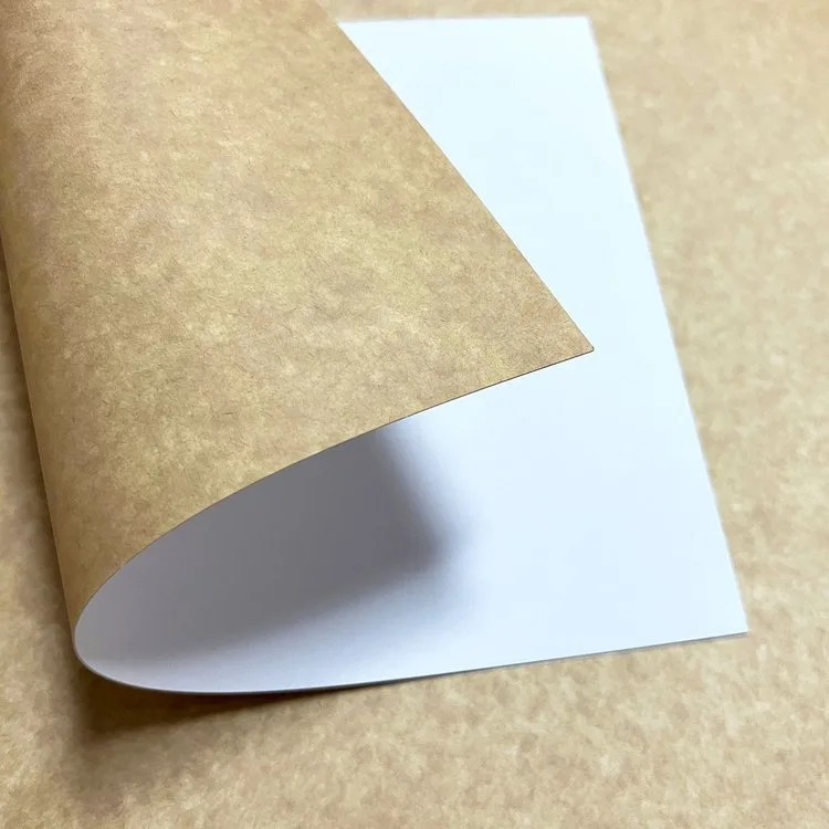 coated kraft paper