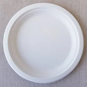sugarcane plate2