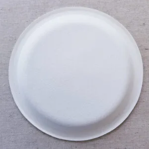 sugarcane plate3