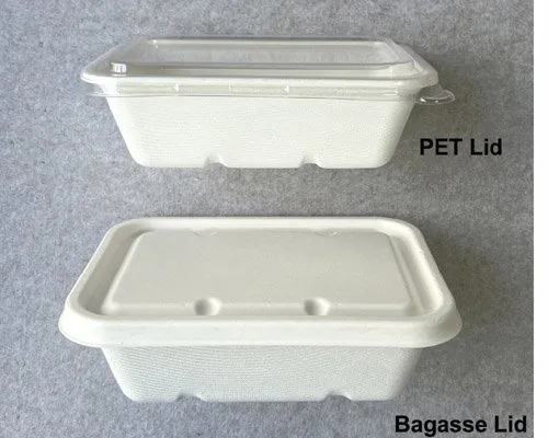 Bagasse To Go Containers with Lids 500 1000ml
