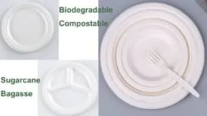 Best Disposable Plates for Hot Food Warm Dinner