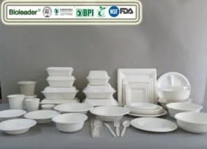 Bioleaders Sugarcane Bagasse Tableware