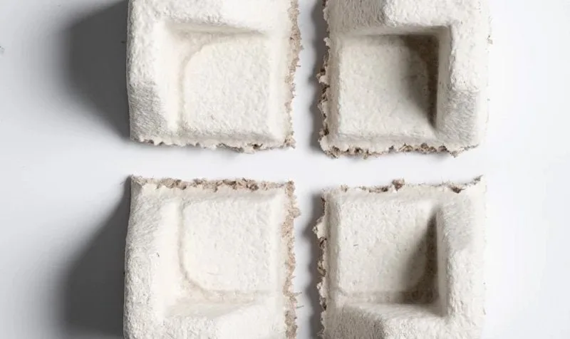 マッシュルームベースのパッケージ