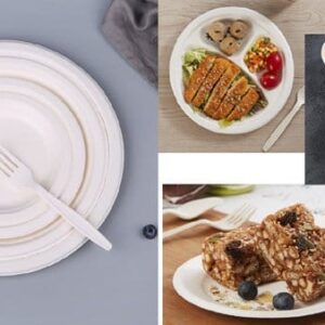 Assiettes en bagasse de canne à sucre