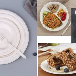 Suikerrietbagasse borden