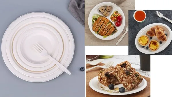 ألواح تفل قصب السكر ألواح تفل قصب السكر