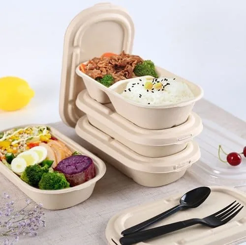 Scatole per il pranzo Bagasse To Go con coperchi 1 2 scomparti