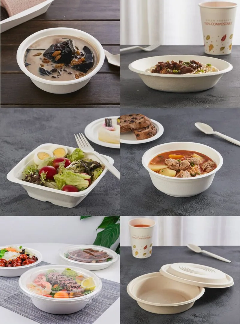 Bols écologiques et compostables en bagasse de canne à sucre