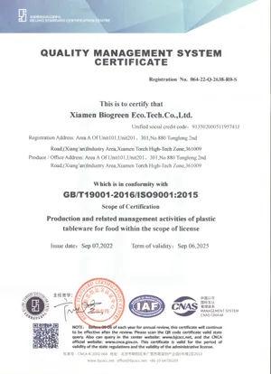ISO 9001 1