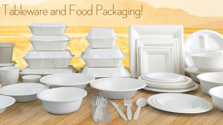 Comprehensive Guide to Sugarcane Bagasse Tableware 2025