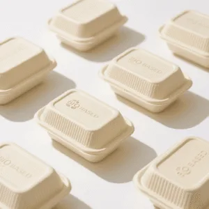 What Is an Alternative to Styrofoam Takeout Containers