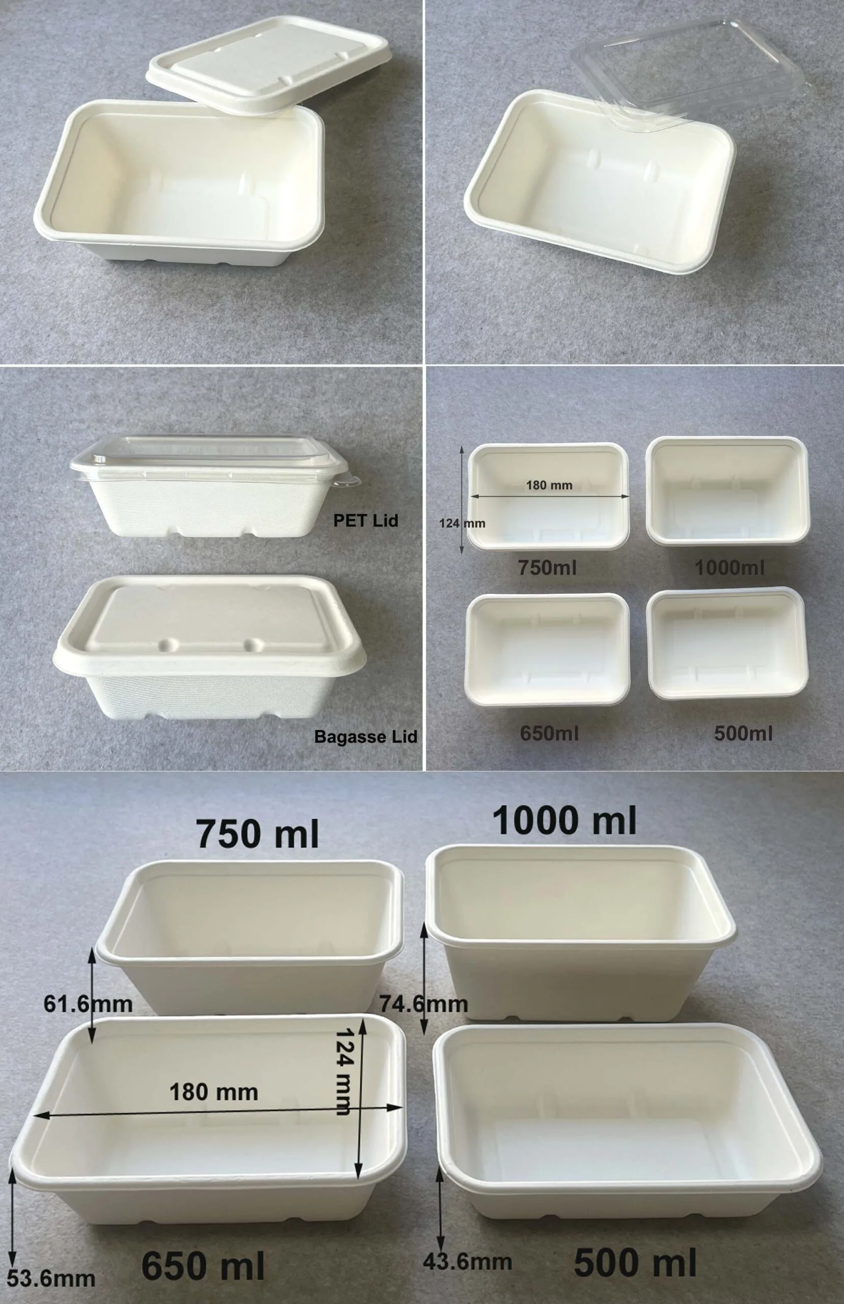fabricante de bandejas de bagazo con tapa
