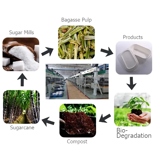 Los beneficios del bagazo incluyen seguridad en microondas, reciclabilidad y resistencia al agua.