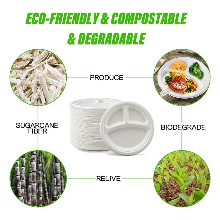 وعاء من 3 مقصورات من قصب القصب