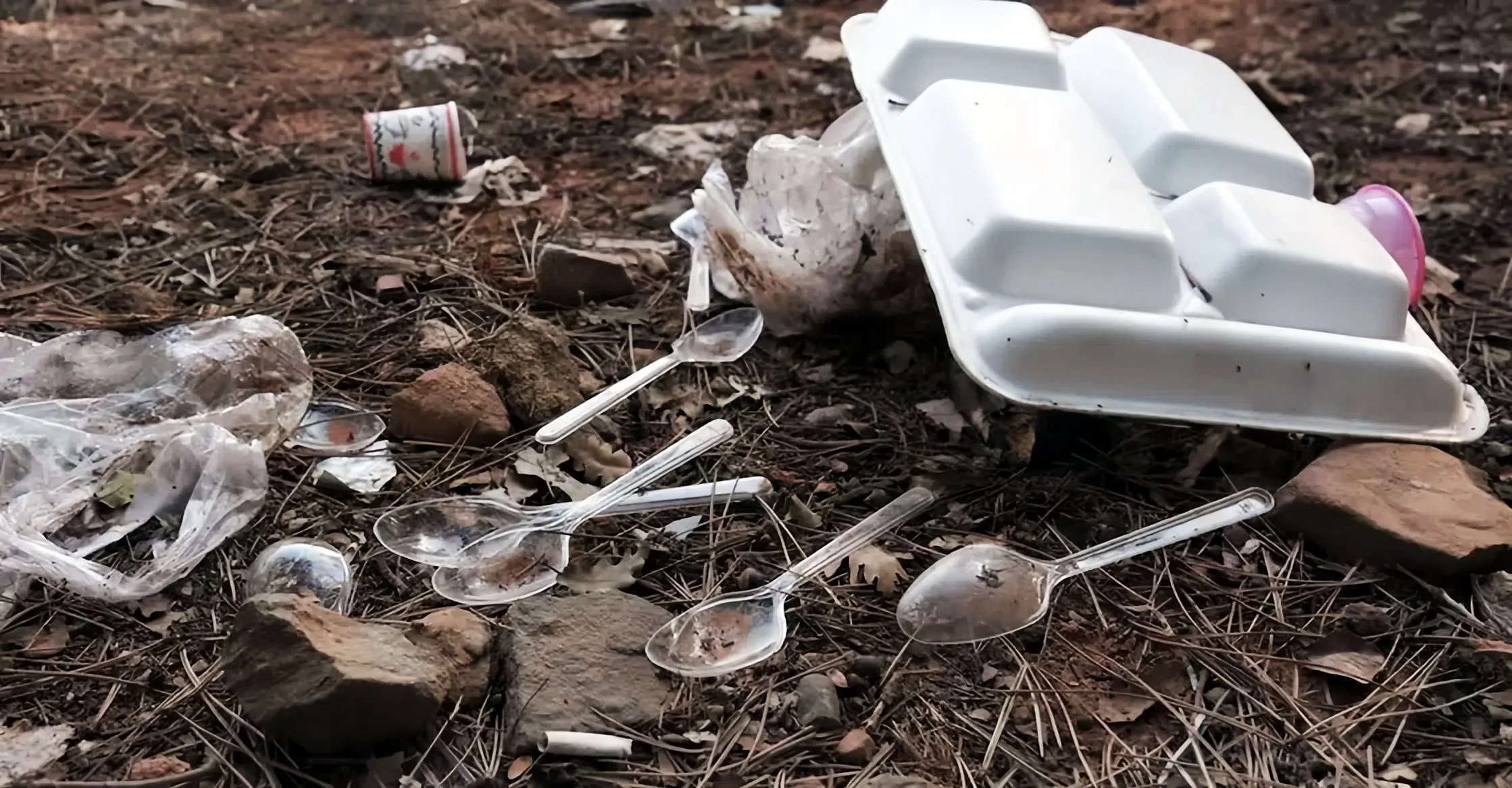 Репрезентативное изображение. Фото Shutterstock