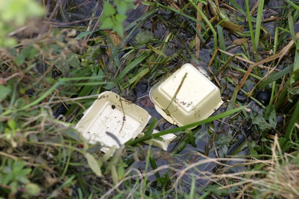 الرغوة الرغوة