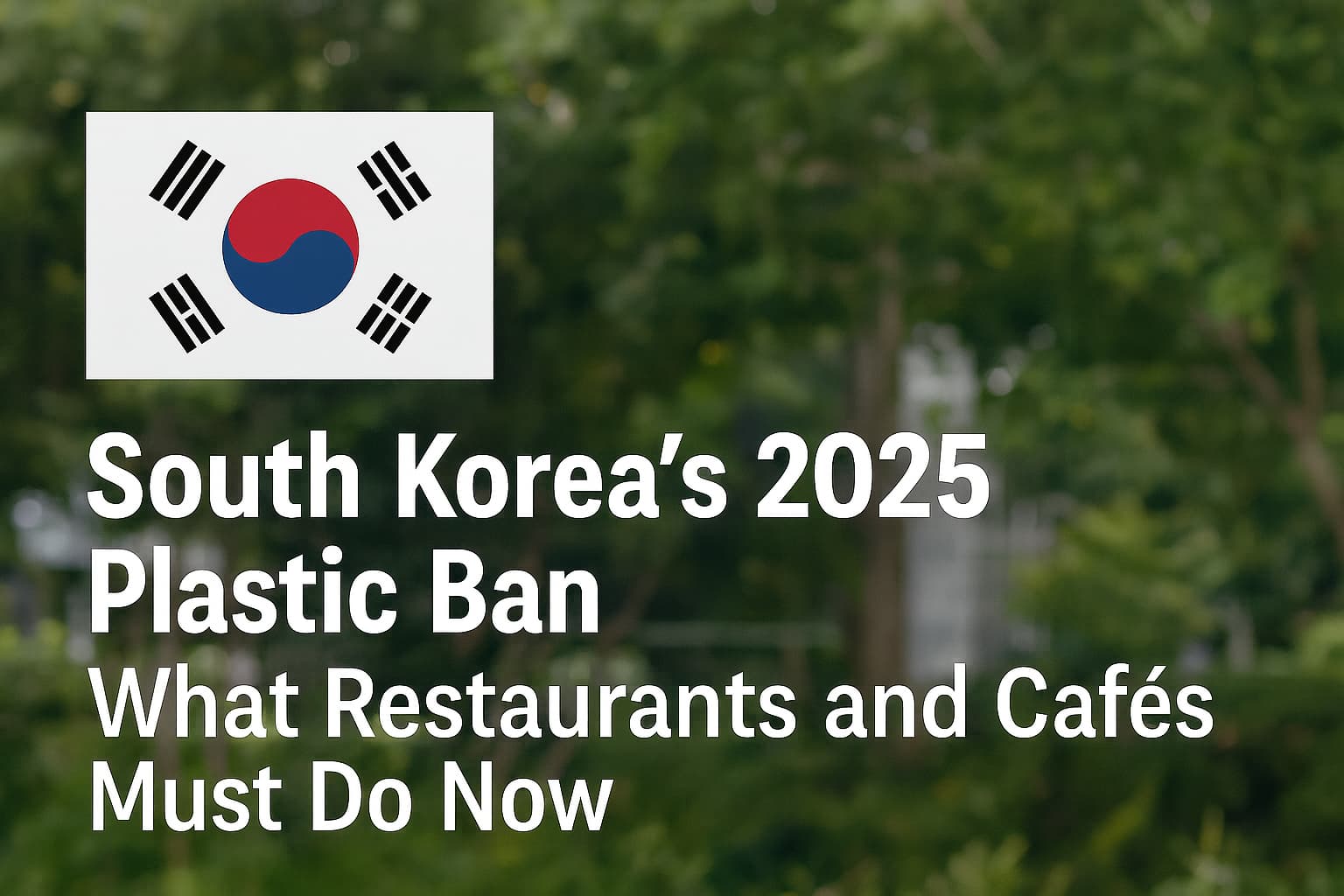 🇰🇷 Запрет на использование пластика в Южной Корее в 2025 году: что должны сделать рестораны и кафе