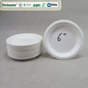 Thanksgiving Dinner Paper Plates Wholesale