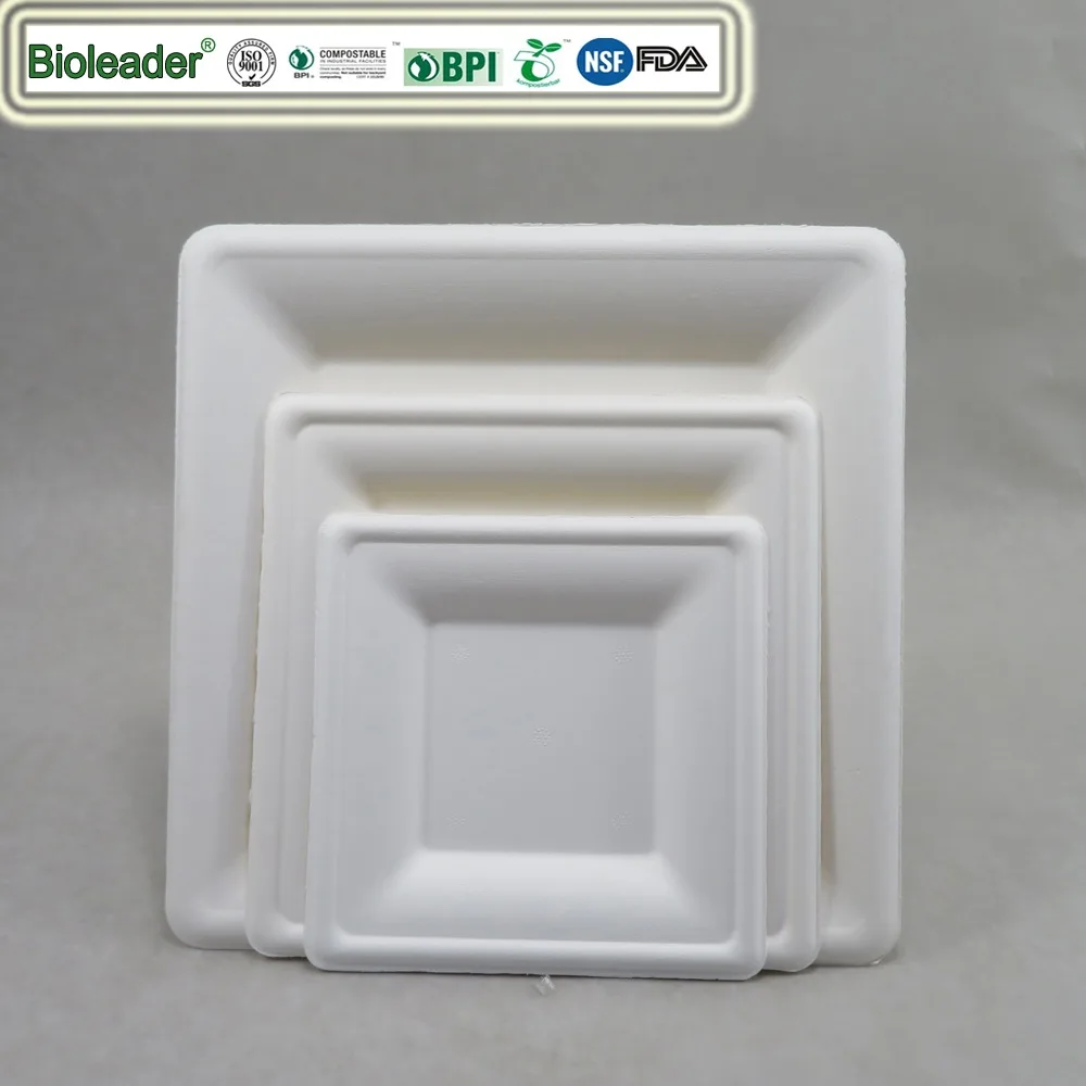 vierkant suikerrietbagasse bord