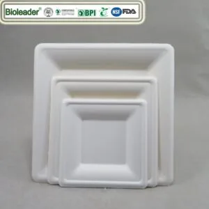Assiette en canne à sucre biodégradable carrée 6-8-10inch