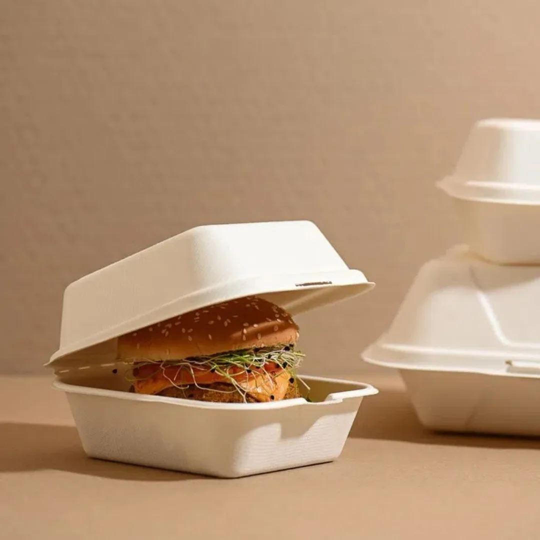 Bagaço de cana-de-açúcar Caixas em concha Bagaço de cana-de-açúcar Caixas em concha