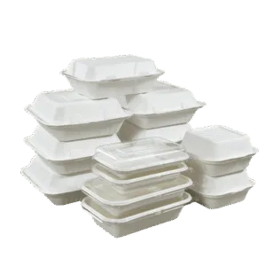 Bagasse Food Containers