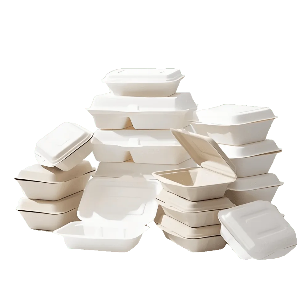 Sugarcane Bagasse Packaging Sugarcane bagasse packaging for takeaway and foodservice applications