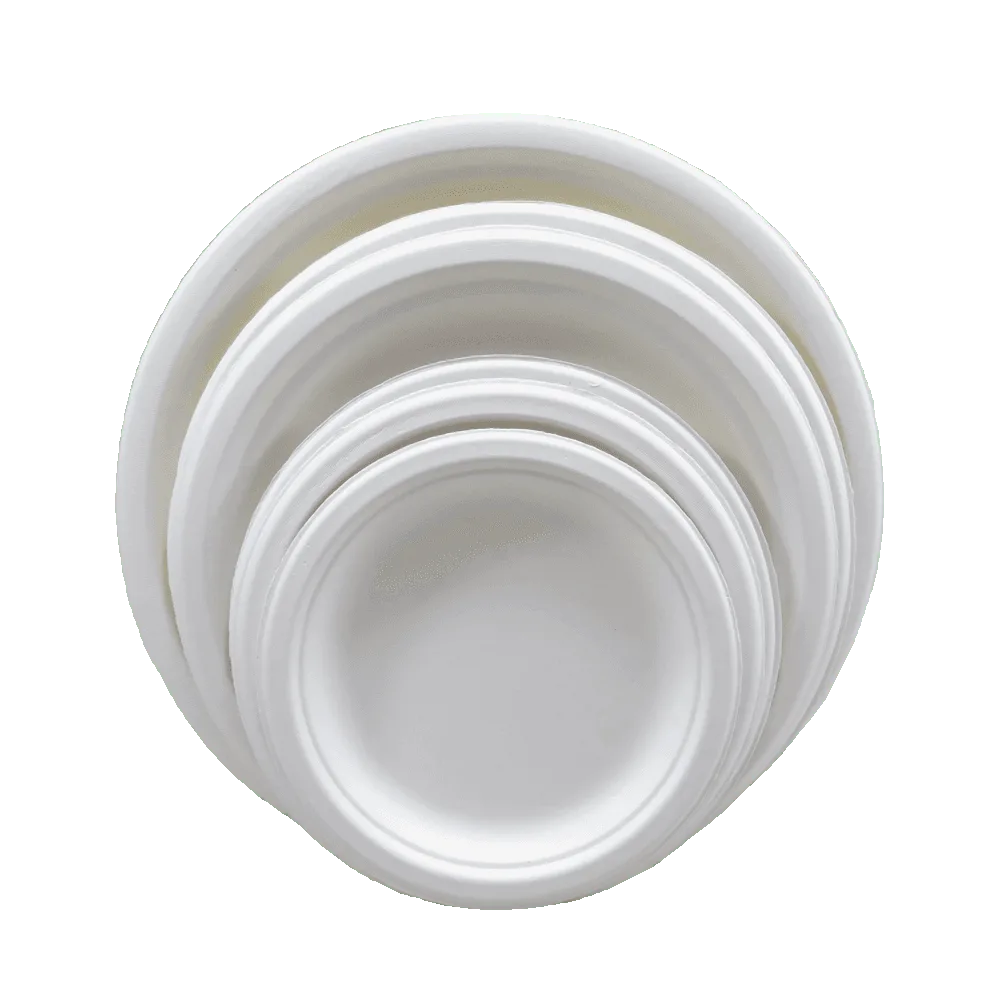 Sugarcane Bagasse Plates Sugarcane bagasse plates for restaurants catering and disposable foodservice
