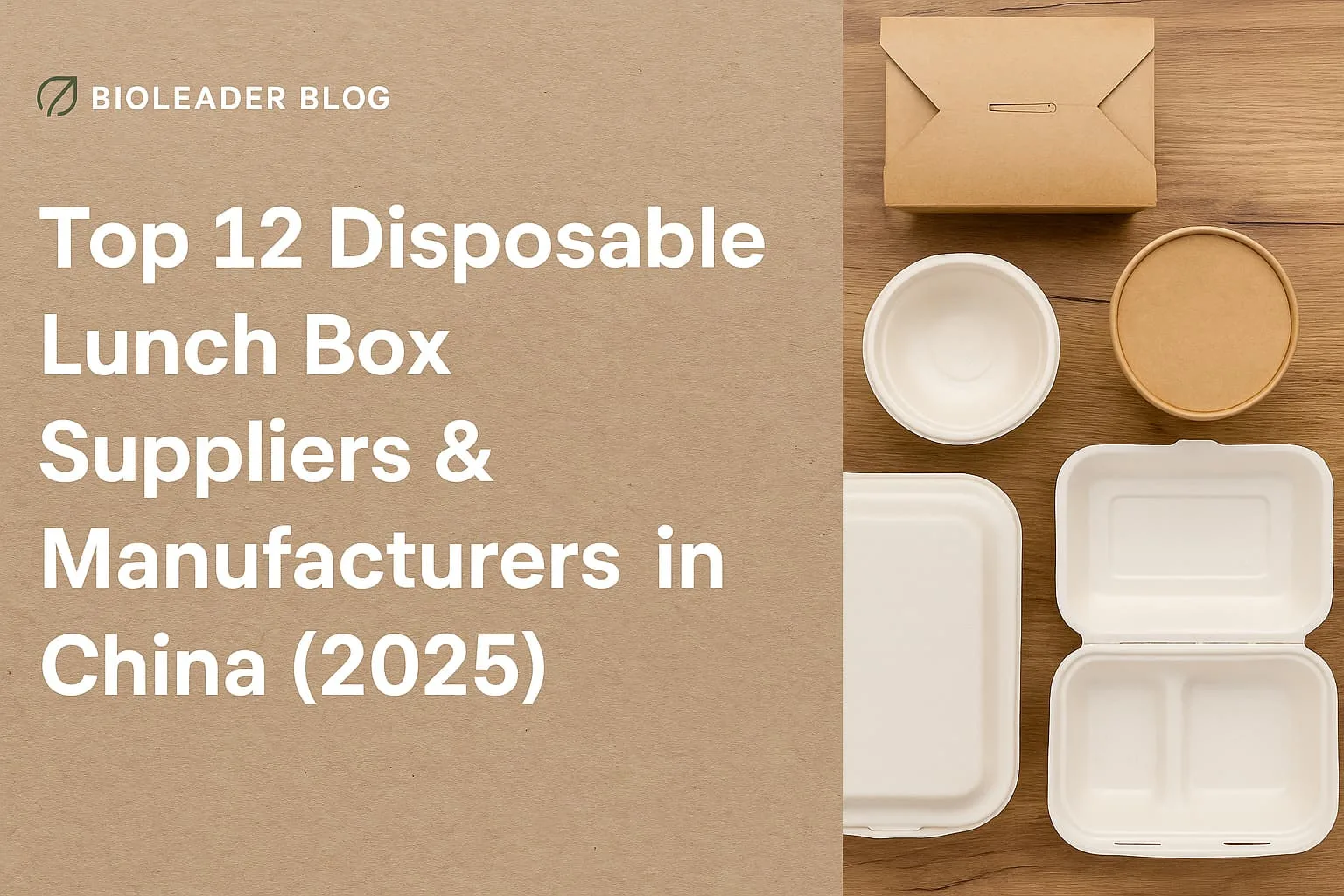 أفضل 12 من موردي صناديق الغداء التي تستخدم لمرة واحدة المصنعين في الصين 2025 لا كسول