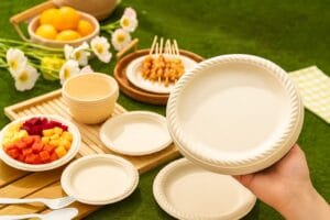 Bulk Supply of Cornstarch Plates What Restaurants and Wholesalers Should Know no lazy