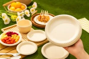 Bulk Supply of Cornstarch Plates What Restaurants and Wholesalers Should Know no lazy