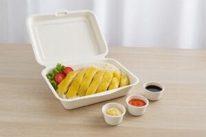 プラスチックフリーのチキンライス：2025年、シンガポールの国民食が堆肥化可能に