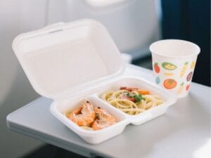 Why Compostable Cutlery is the New Standard in Airline Meals no lazy