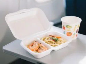 Why Compostable Cutlery is the New Standard in Airline Meals no lazy